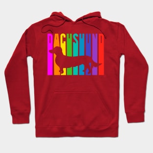 Dachshund Multicolored Panels Hoodie